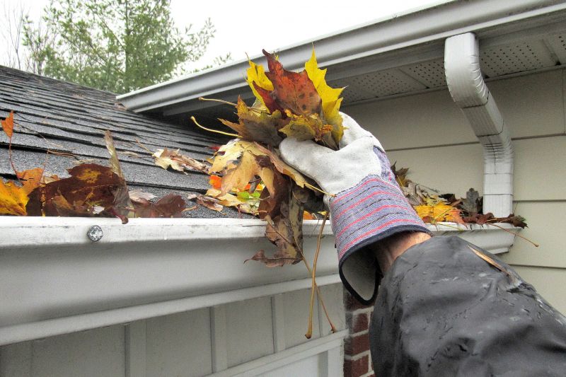 Gutter Leaf Clearing in Fredericksburg, VA
